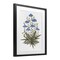 Stupell Industries Where Wild Flowers Bloom Framed Print Under Glass, design by Cecilia Battaini